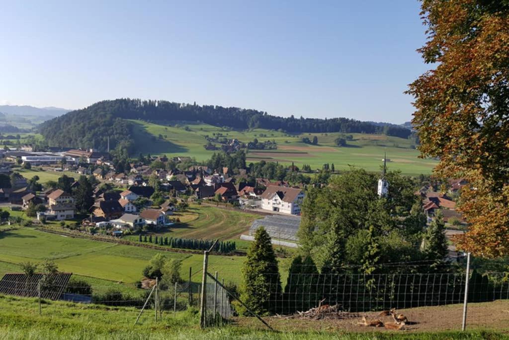 Brachbuhl Marie Huus Lägenhet Rohrbach Exteriör bild