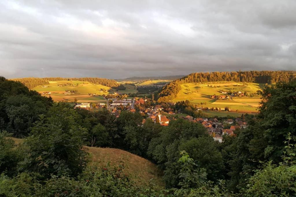 Brachbuhl Marie Huus Lägenhet Rohrbach Exteriör bild